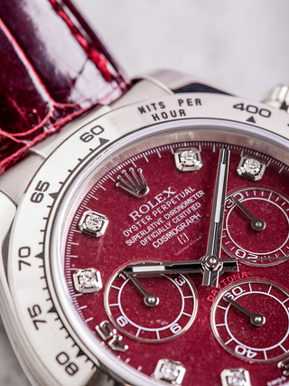 Macro shot of Rolex Daytona 116519 highlighting the vibrand burgundy dial and strap