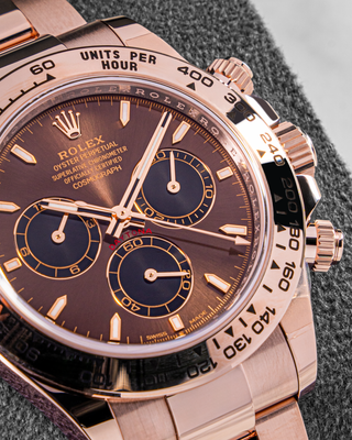 Rolex Daytona 126505 chocolate