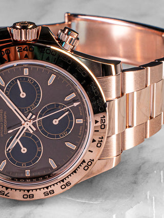 Rolex Daytona 126505 chocolate