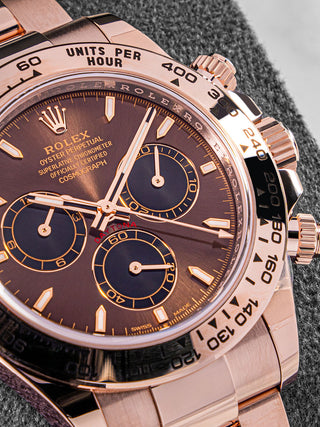 Rolex Daytona 126505 chocolate
