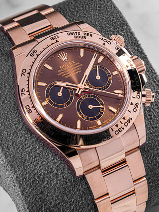 Rolex Daytona 126505 chocolate