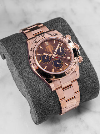Rolex Daytona 126505 chocolate